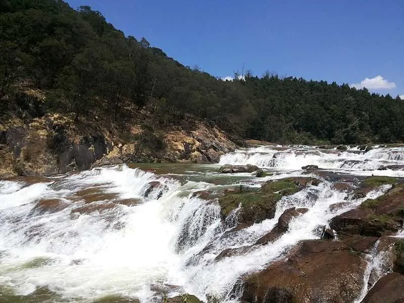 Places to Visit In South India
Ooty
"Tamil Nadu’s misty hill town with toy train and gardens"
Nes...