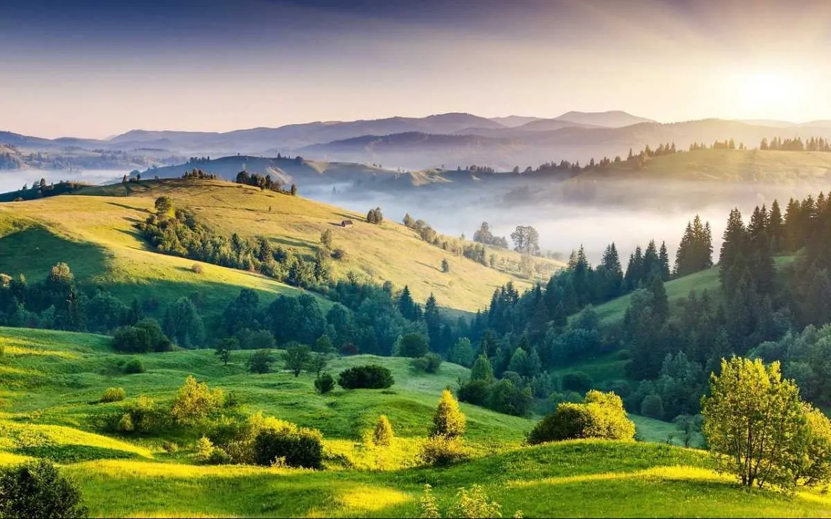Places to Visit In South India
Kodaikanal
"Hill station of misty lakes and pine forests"
Located ...
