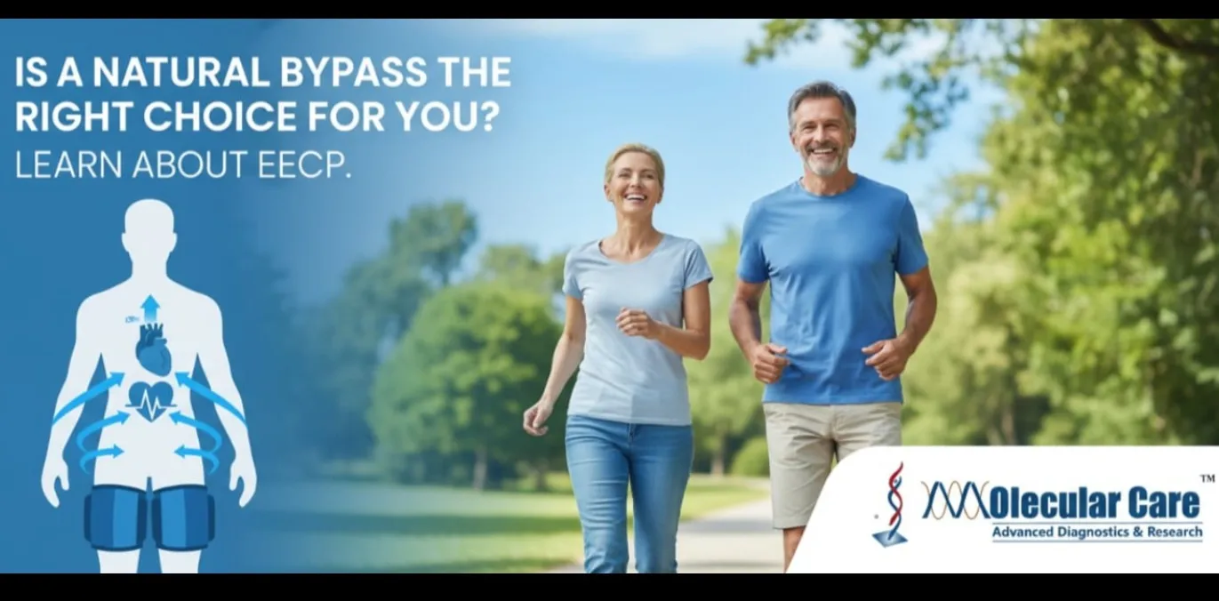 Learn About EECP