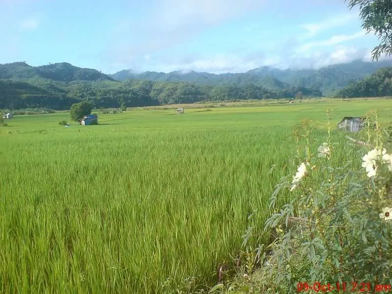 Top Places to visit in East India
Serchhip
"Mizoram’s scenic town with tribal culture and waterfal...