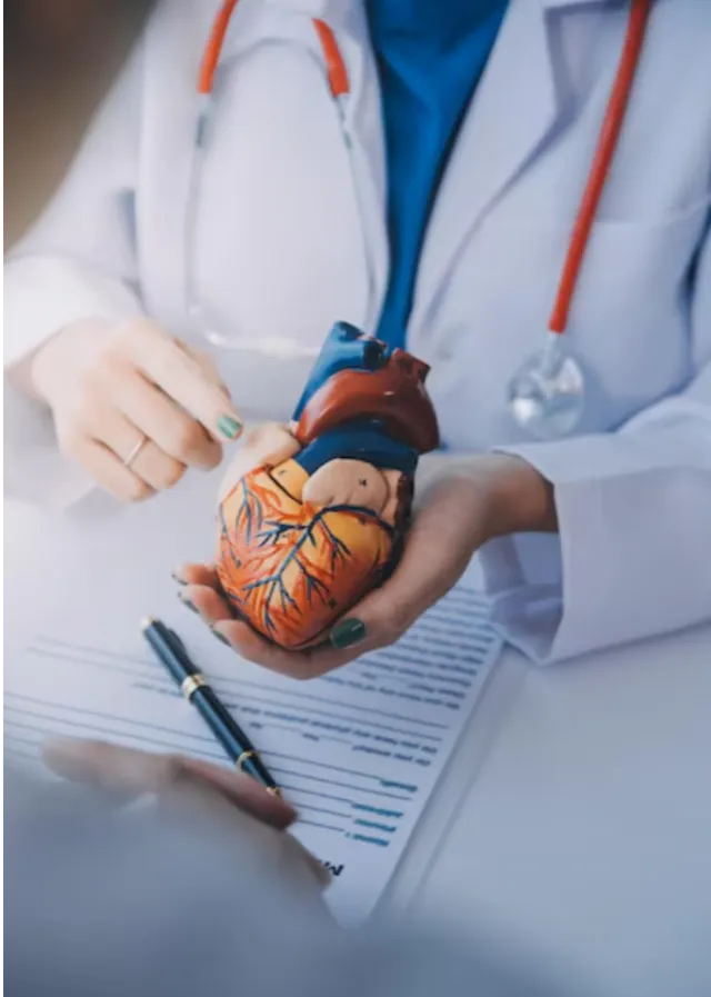 Cardiology Care in Aundh: Understanding Your Heart Better