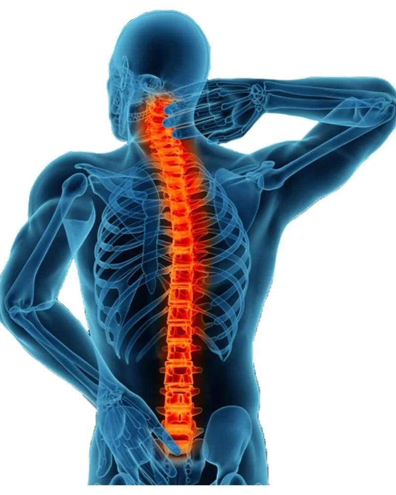 Spine Specialist Orthopedic Doctor in Nagpur – Comprehensive Back Care
