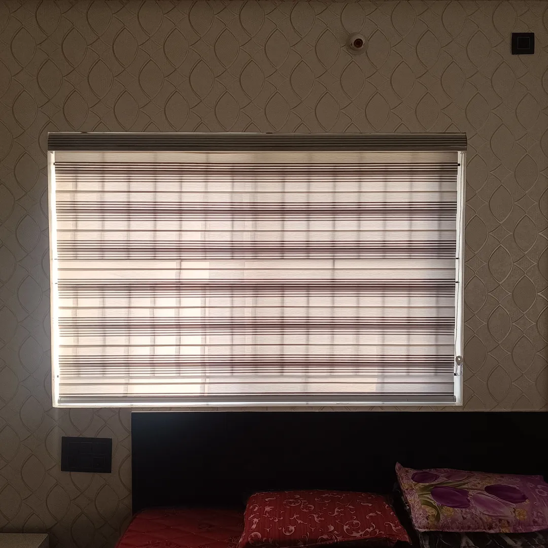 #zebrablinds
