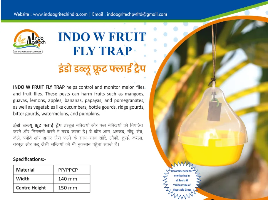 INDO W FRUIT FLY TRAP