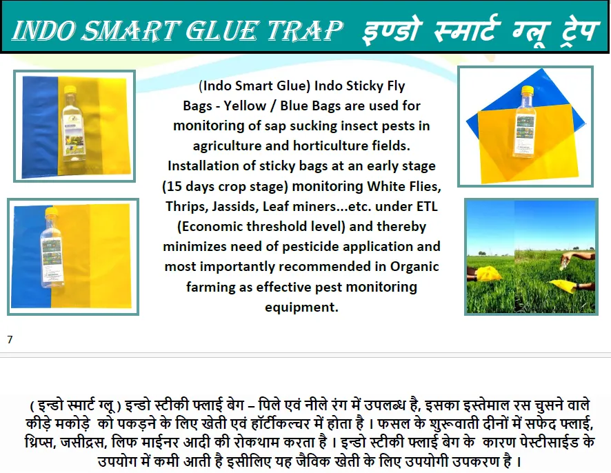 INDO SMART GLUE TRAP