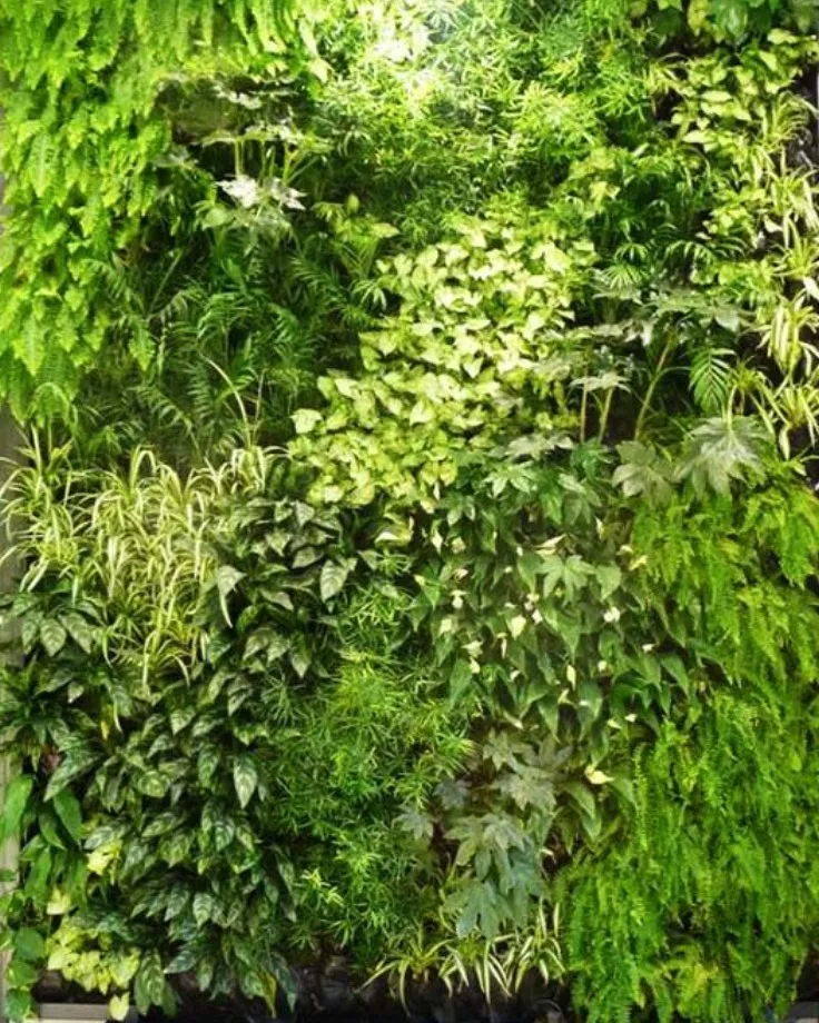 Best Artificial Vertical Garden Manufacturer, Trader, Dealer, Supplier in Nagpur. We Panipat Carpets...