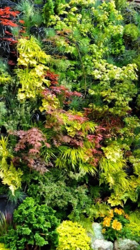 Best Artificial Vertical Garden Manufacturer, Trader, Dealer, Supplier in Nagpur. We Panipat Carpet...