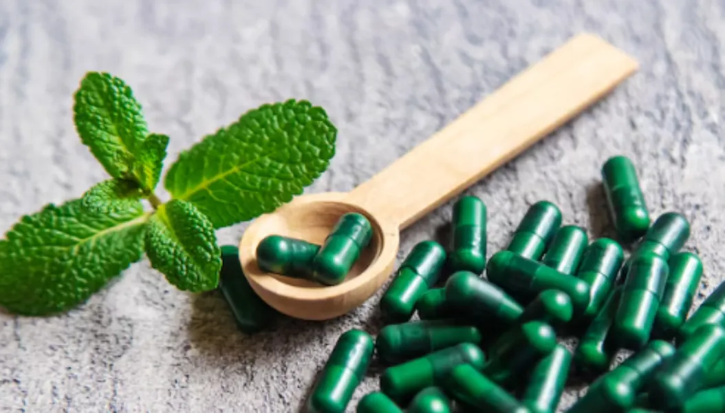Herbal Pharma Franchise in Ambala – A Growing Market for Natural Health Solutions
