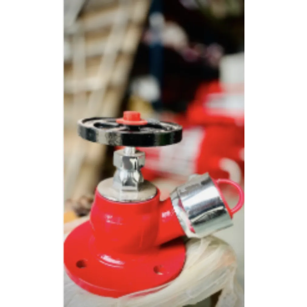 Fire Hydrant Valve in Gujara
