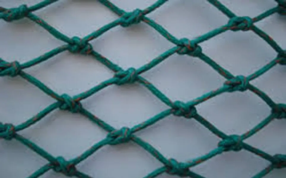 Anti Bird Nets in Mumbai