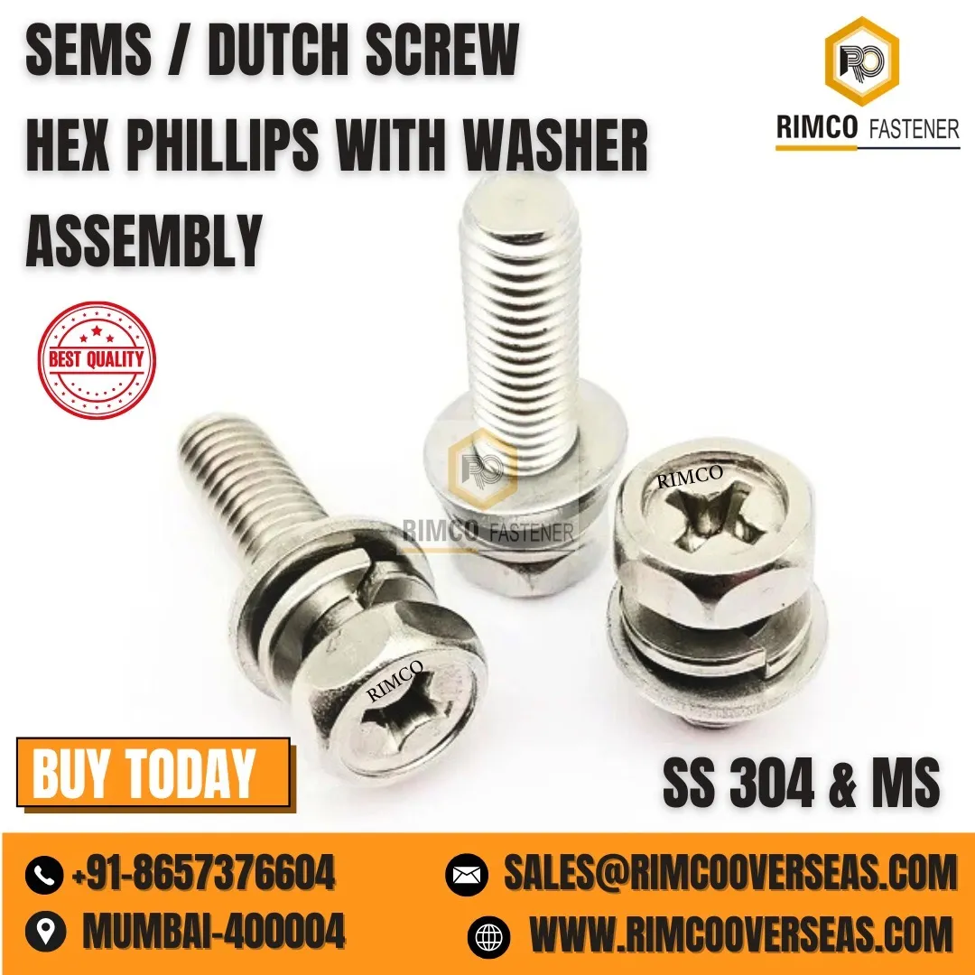 SS 304 SEMS SCREW