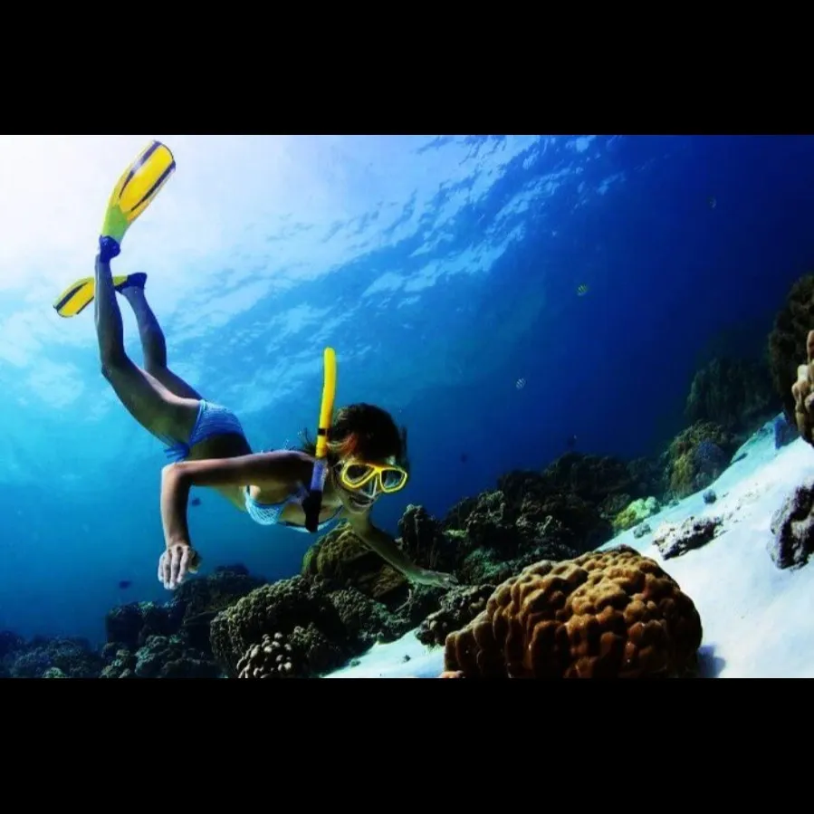 Things To Do In Maldives
Scuba Diving in Maldives
Diving in Maldives, Maldives Overview
Diving is...