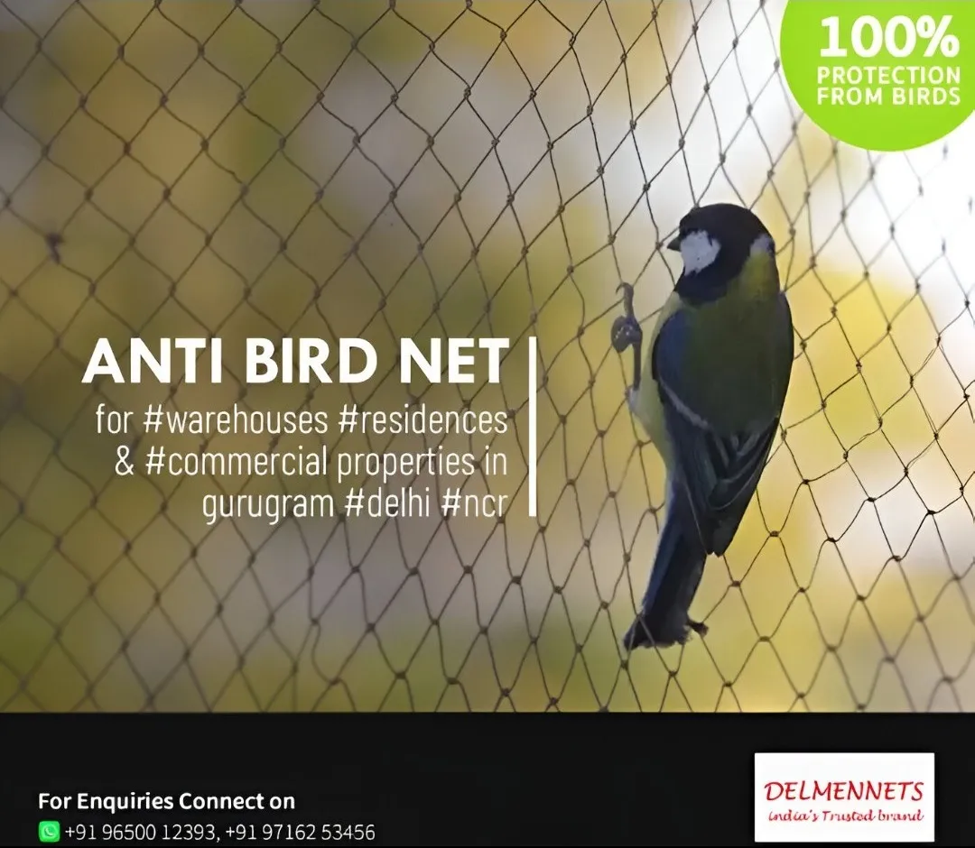 Anti Bird Net Manufacturer in Gurgaon