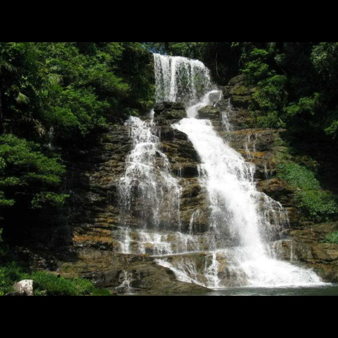 Tourist places in Meghalaya
Mawlynnong
Mawlynnong, Shillong Overview
Mawlynnong is a small villag...