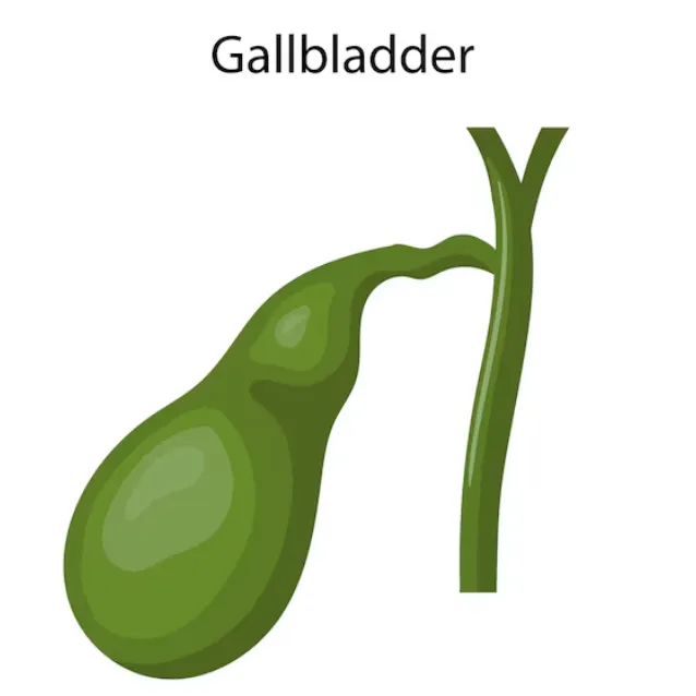Laparoscopic Gall Bladder Surgery in Kharghar
