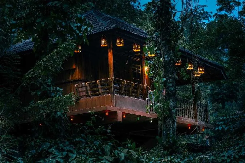 Tourist Places in Kerala
Periyar National Park
Periyar National Park, Thekkady Overview
The Periy...