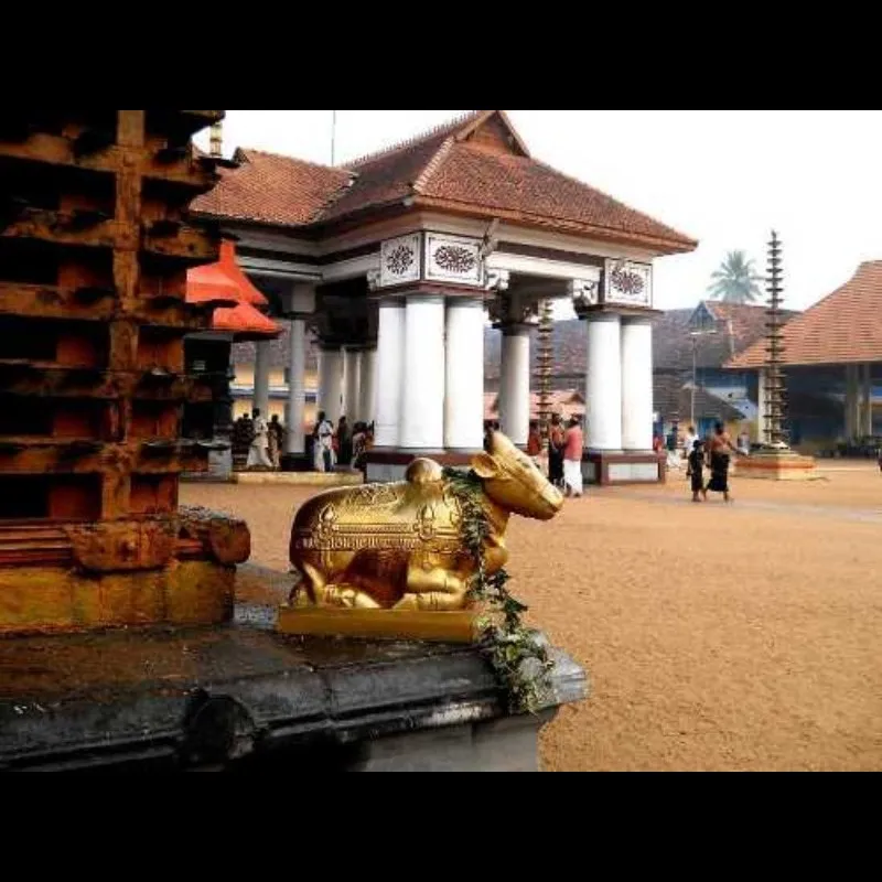 Tourist Places in Kerala
Kumbalangi
Kumbalangi Tourism
Kumbalangi is India’s first model ecotour...