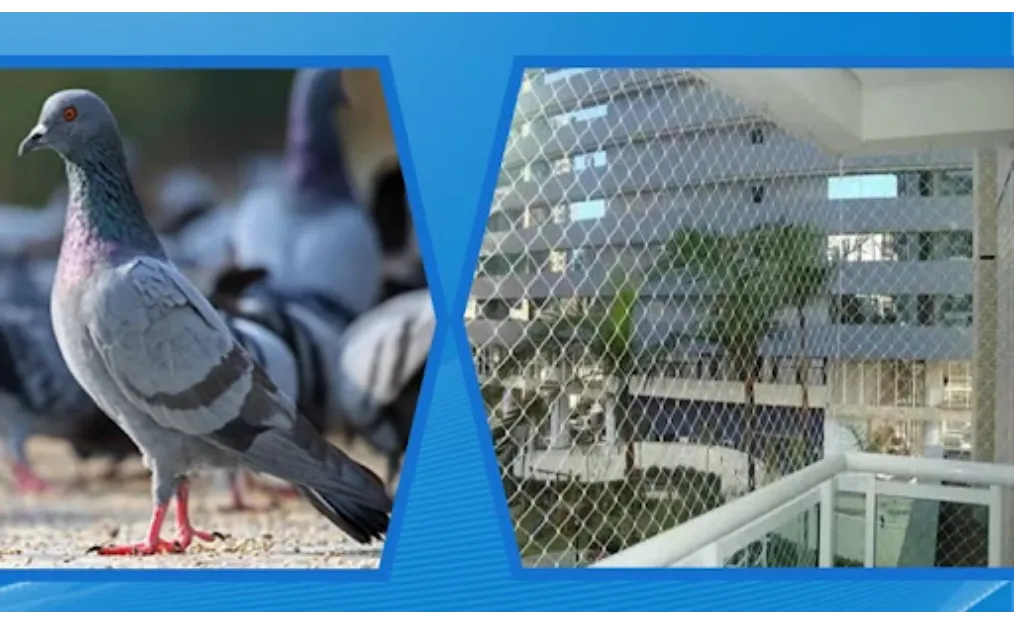 Pigeon Net Supplier in Gurgaon