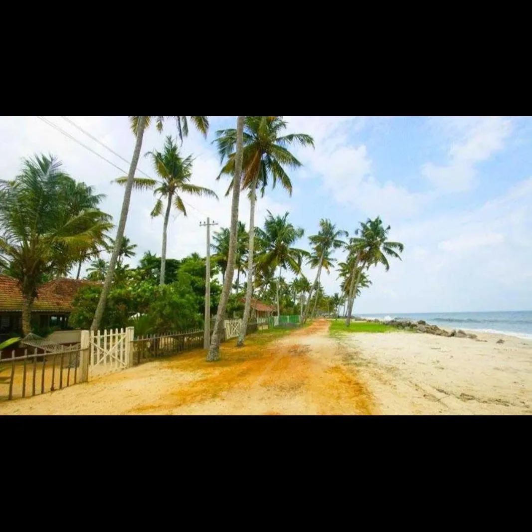 Places To Visit In Alleppey
Thumpoly Beach
Thumpoly Beach, Alleppey Overview
Thumpoly Beach is a ...
