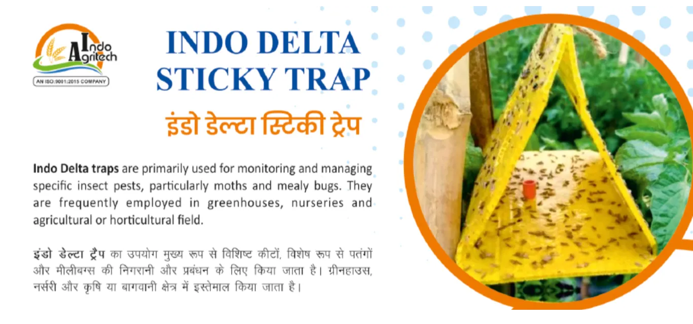 INDO DELTA STICKY TRAP