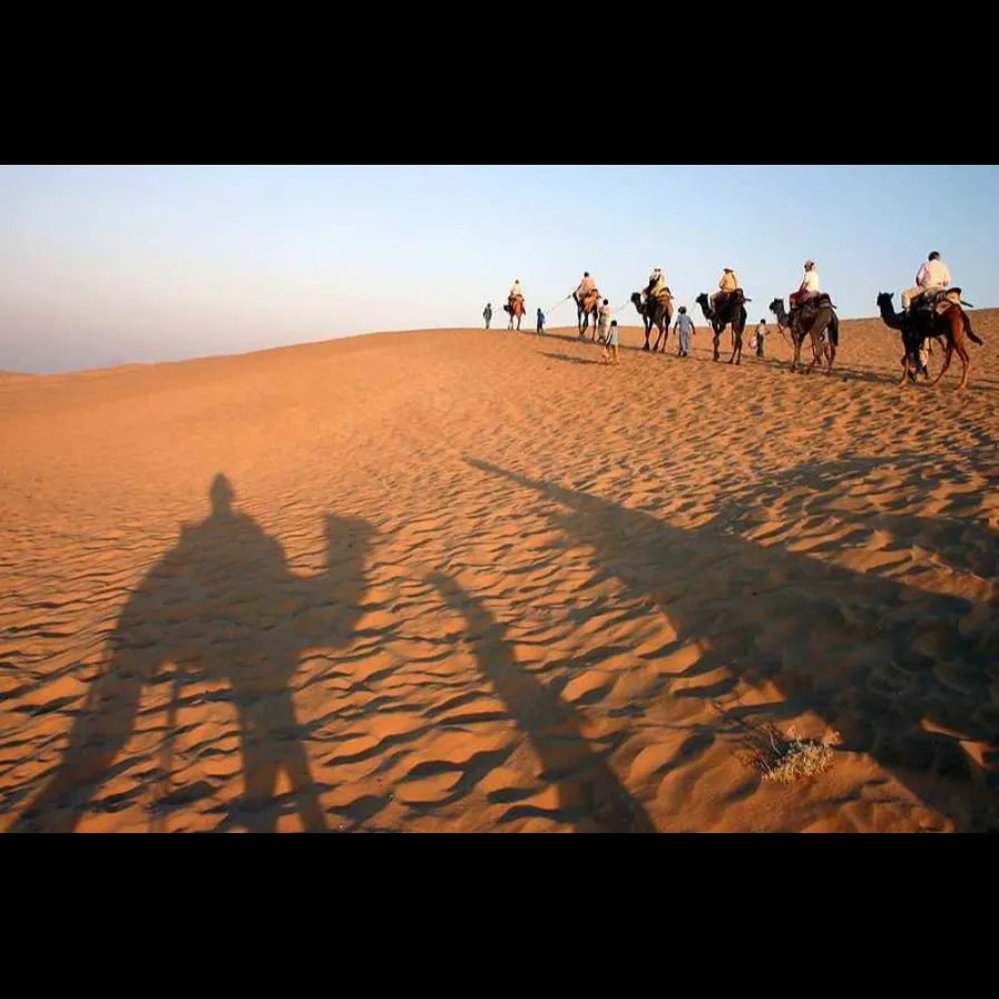 Places To Visit In Jodhpur
Camel Safari
Camel Safari, Jodhpur Overview
A trip to the desert would...