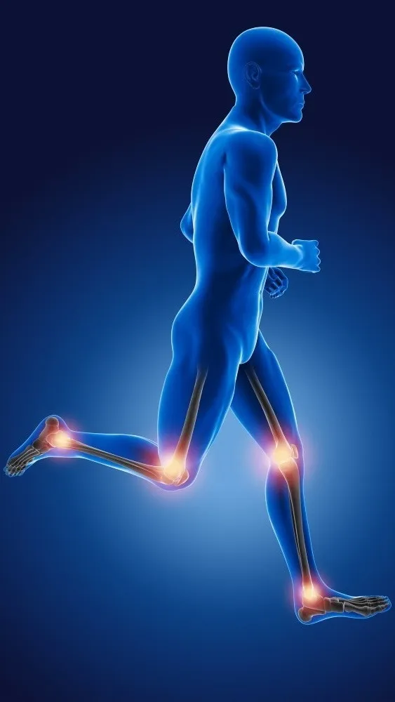 Joint Preservation Surgeon in Nagpur – suyog hospital nagpur