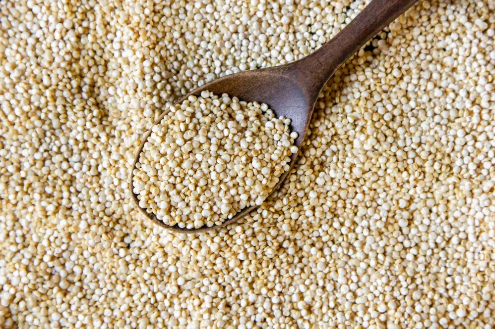 White Proso Millet – A Nutritious Grain for Everyday Wellness
