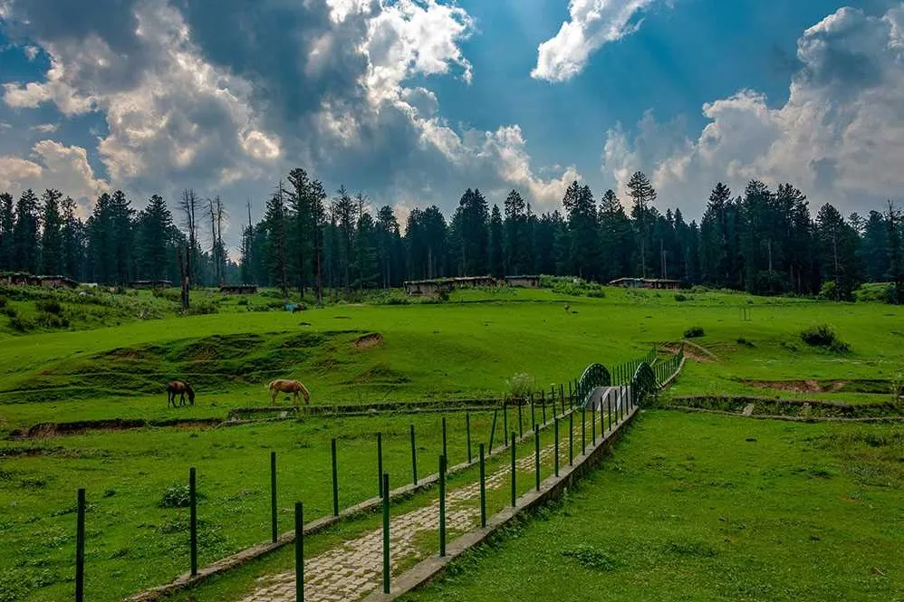 Tourist Places in Jammu & Kashmir
Kashmir
Kashmir Tourism
Popularly referred to as the "Paradise...