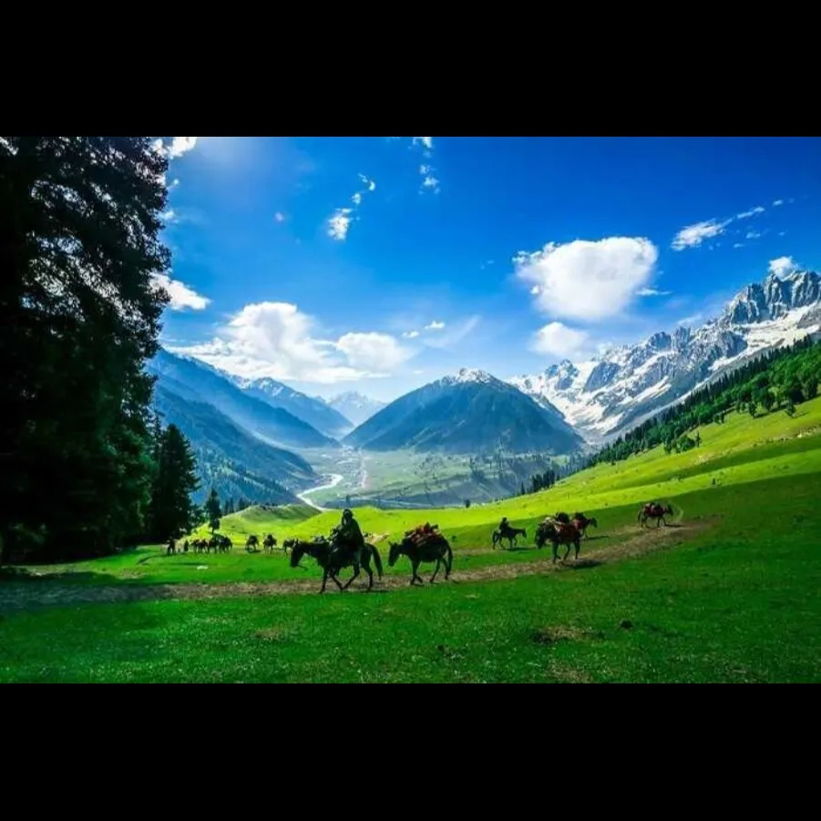 Tourist Places in Jammu & Kashmir
Sonamarg
Sonamarg Tourism
Sonamarg, nestled in the enchanting l...