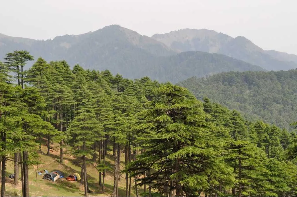 Tourist Places in Jammu & Kashmir
Patnitop
Patnitop Tourism
Patnitop, nestled in the Udhampur di...