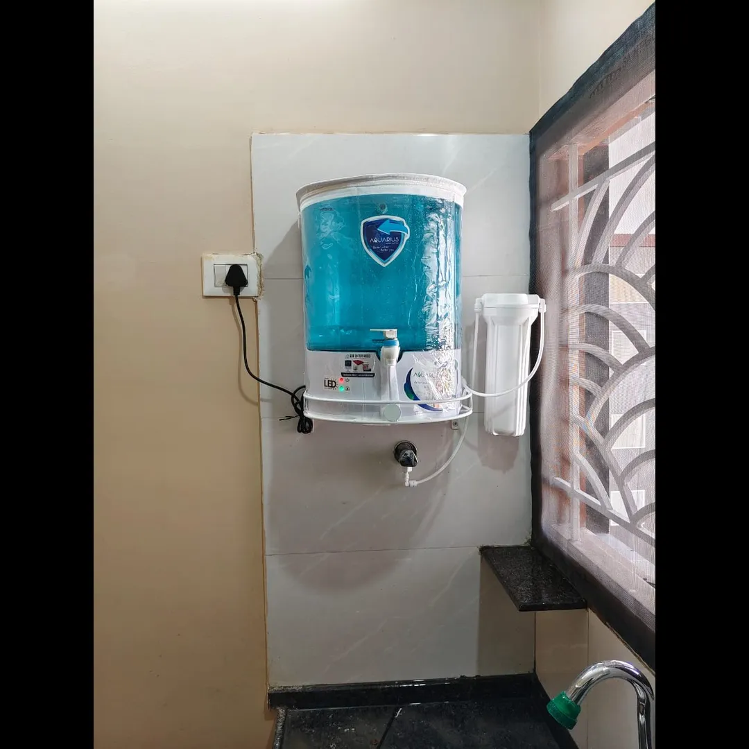 SNEW Dolphin UV