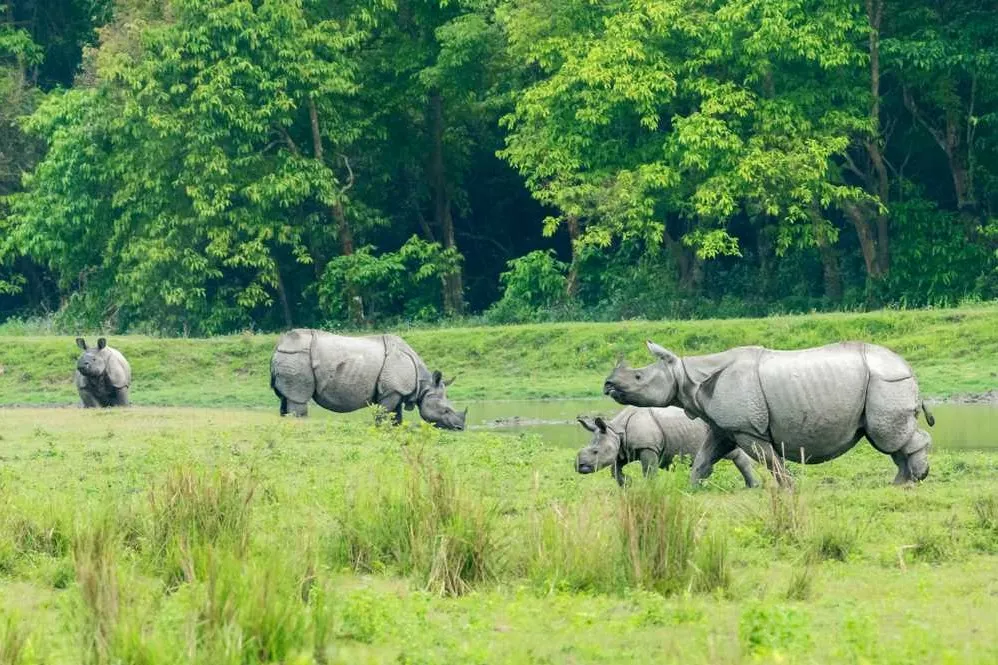 Tourist places in Assam
Sivasagar
Sivasagar Tourism
Dating back to the Ahom dynasty, this cultur...