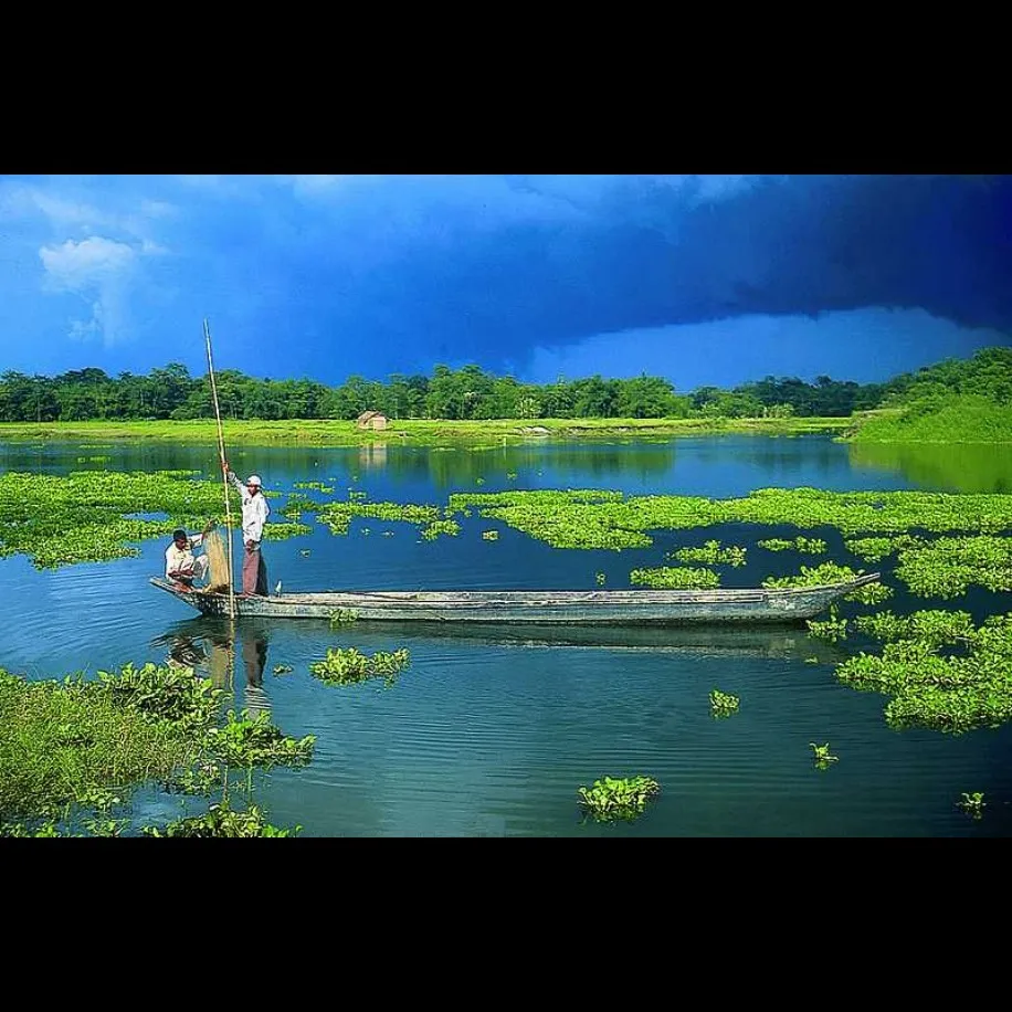 Tourist places in Assam
Majuli
Majuli Tourism
Majuli, a verdant and eco-friendly freshwater isla...