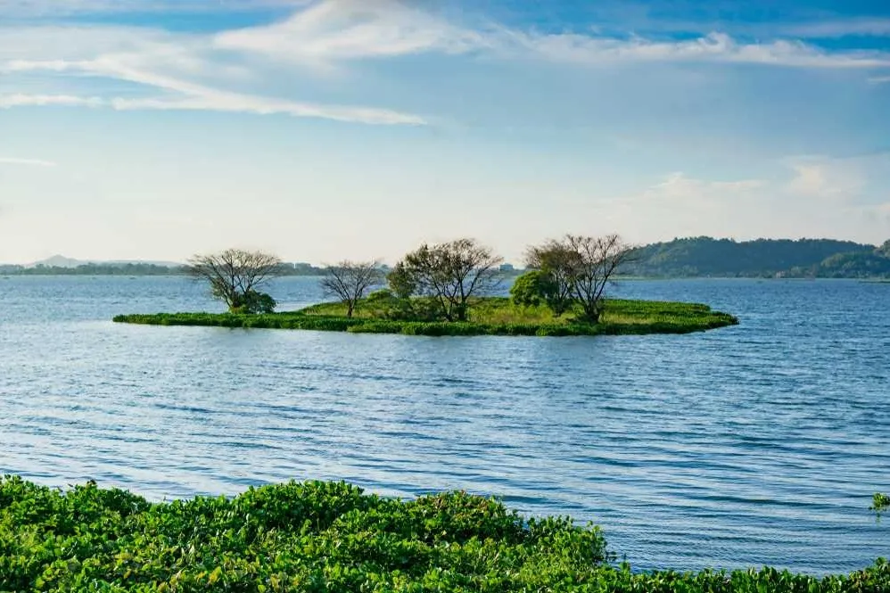 Tourist places in Assam
Umananda Island (Peacock Island)
Umananda Island, Guwahati Overview
The s...