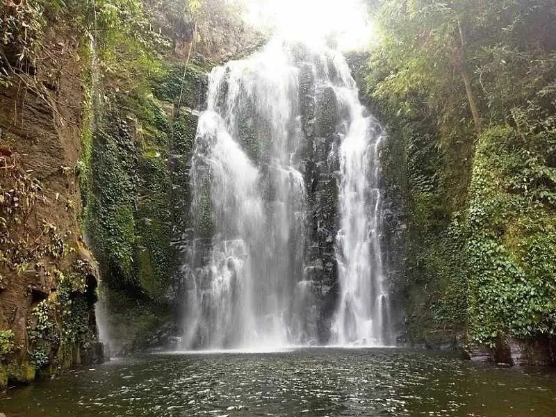 Tourist places in Assam
Jorhat
Jorhat Tourism
Famous for its culture, mosques, tombs, gardens and...