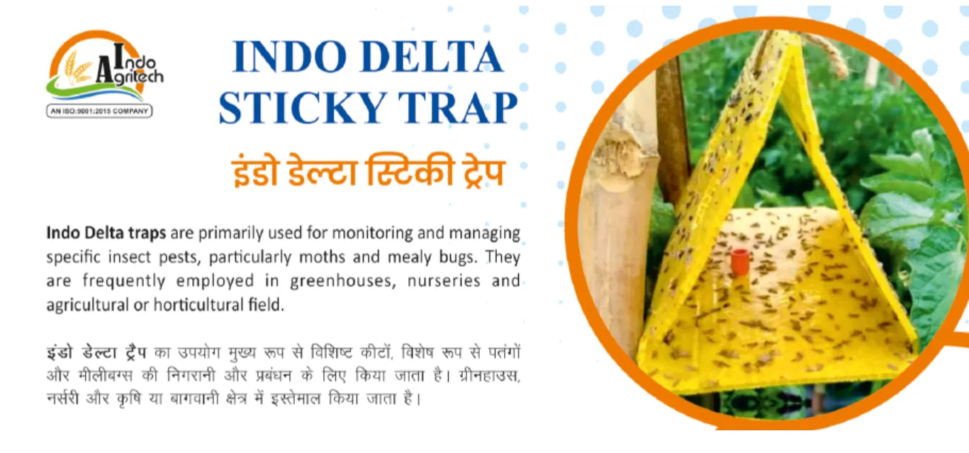 INDO DELTA STICKY TRAP