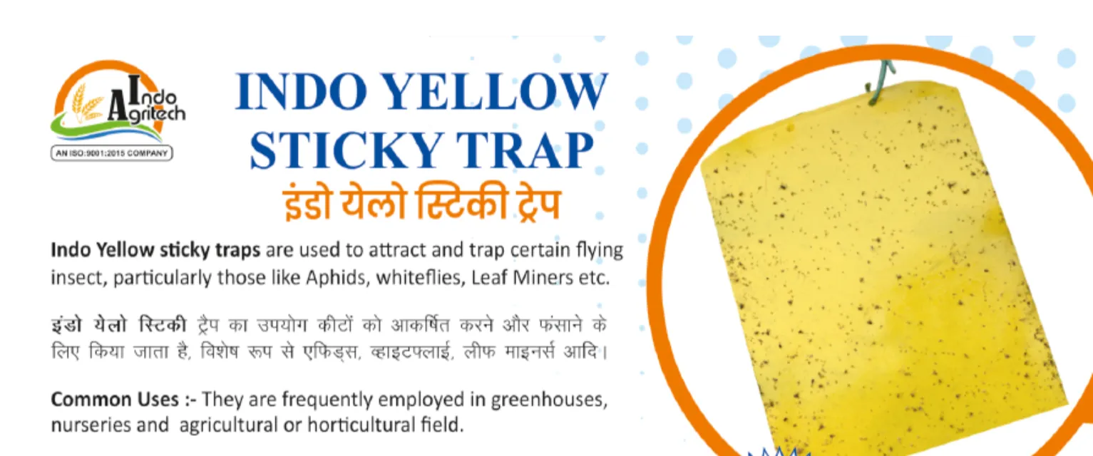 INDO YELLOW STICKY TRAP