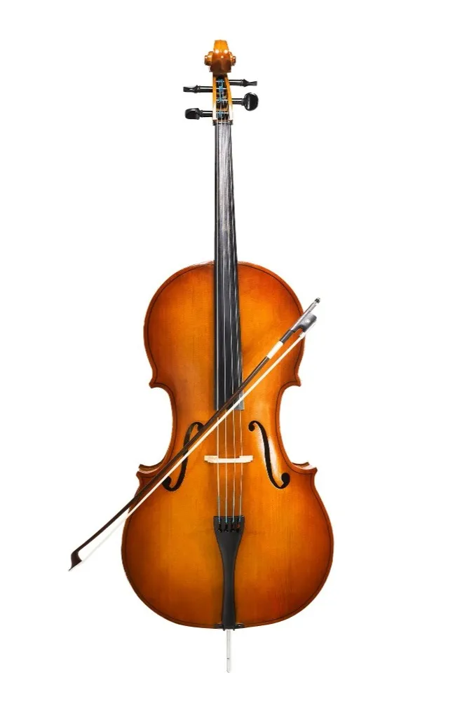 Violin Dealers in Bengaluru