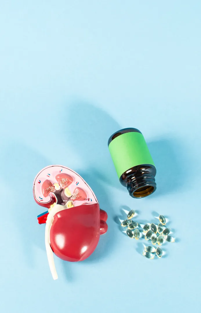 Renal Nutrition in Pune - Support for Kidney Health