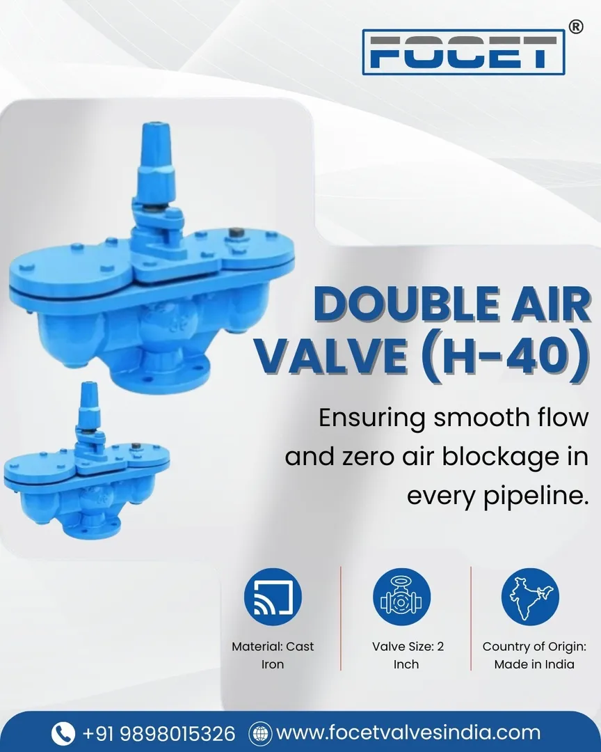 Best Double Air Valve Manufacturer in India.