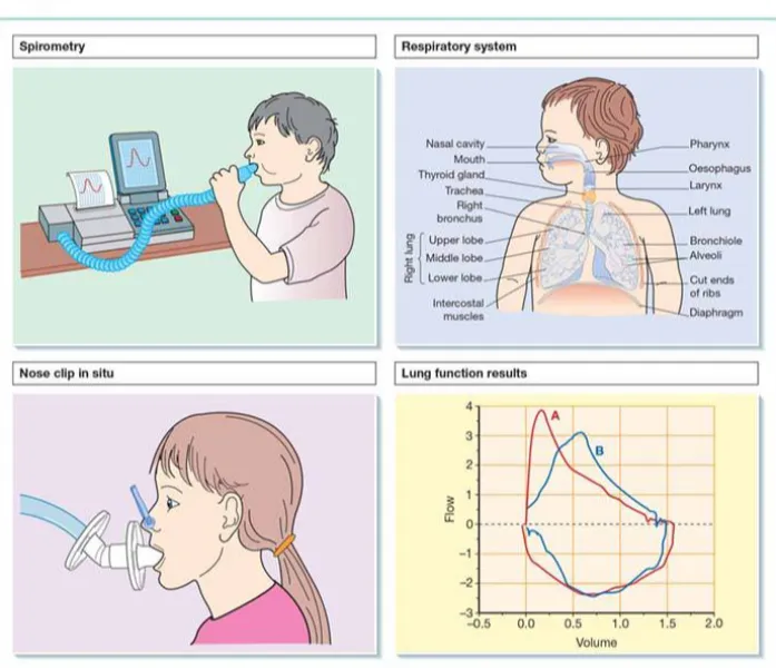 Spirometry Test in Pune – Know Your Lung Health Better