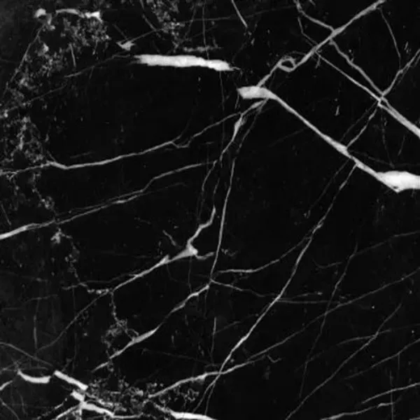 Black Panther Marble supplier in Pimpri-Chinchwad