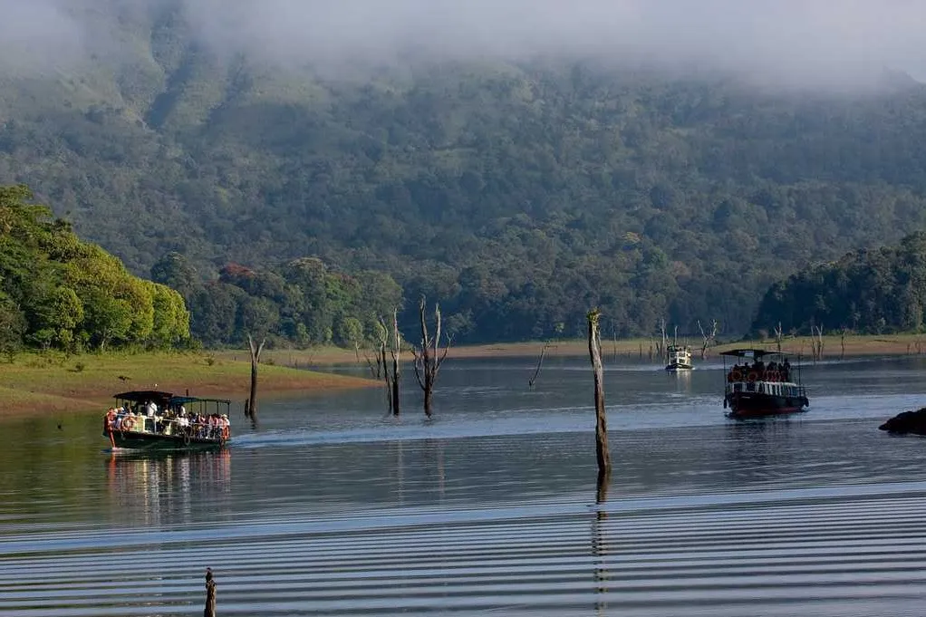 Tourist Places in Kerala
Thekkady
Thekkady Tourism
Home to the country's largest Tiger Reserve- P...