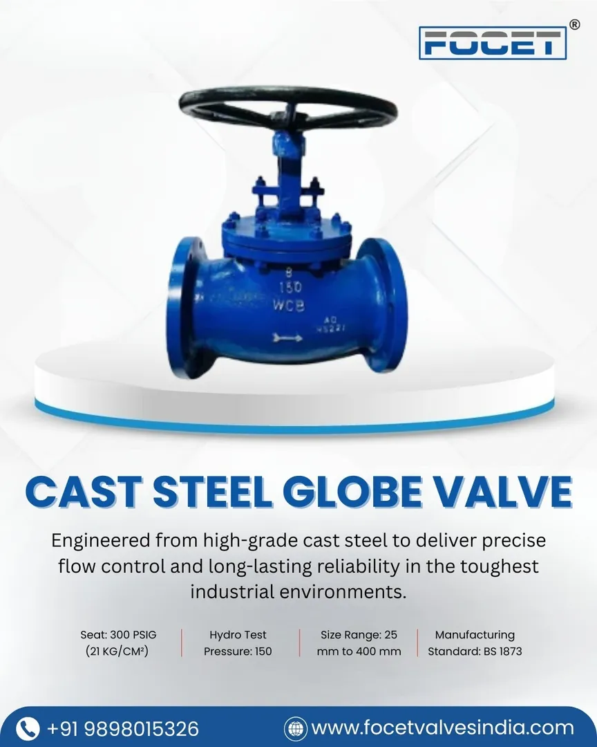 Best Cast Steel Globe Valve Manufacturer in India.