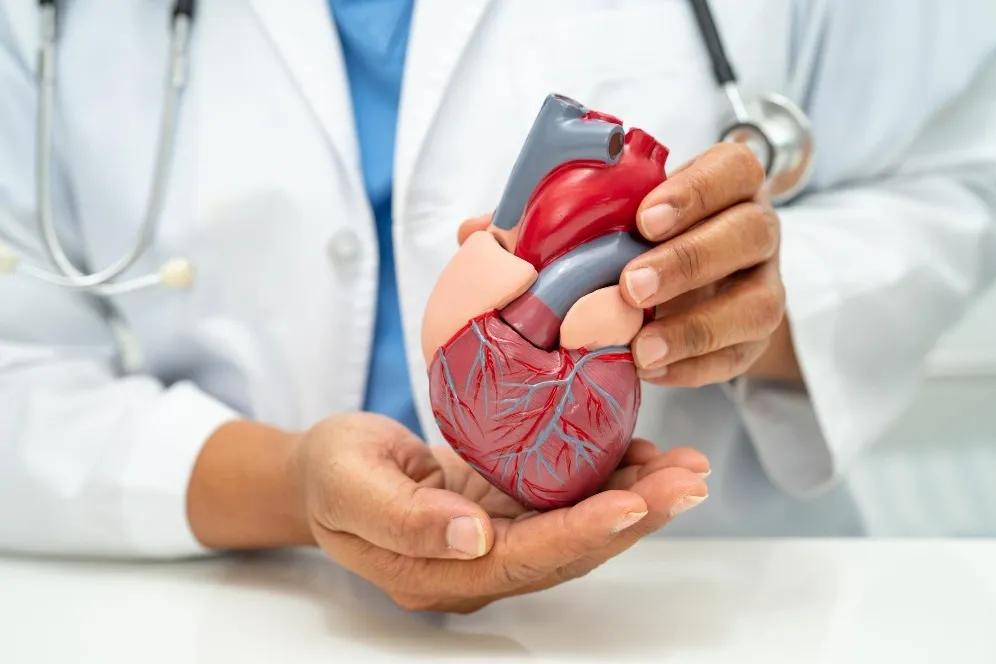 Heart Transplantation in Pune