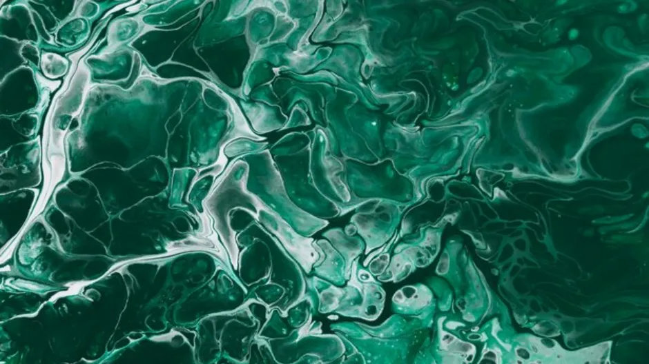 Green Marble dealer in Pimpri-Chinchwad