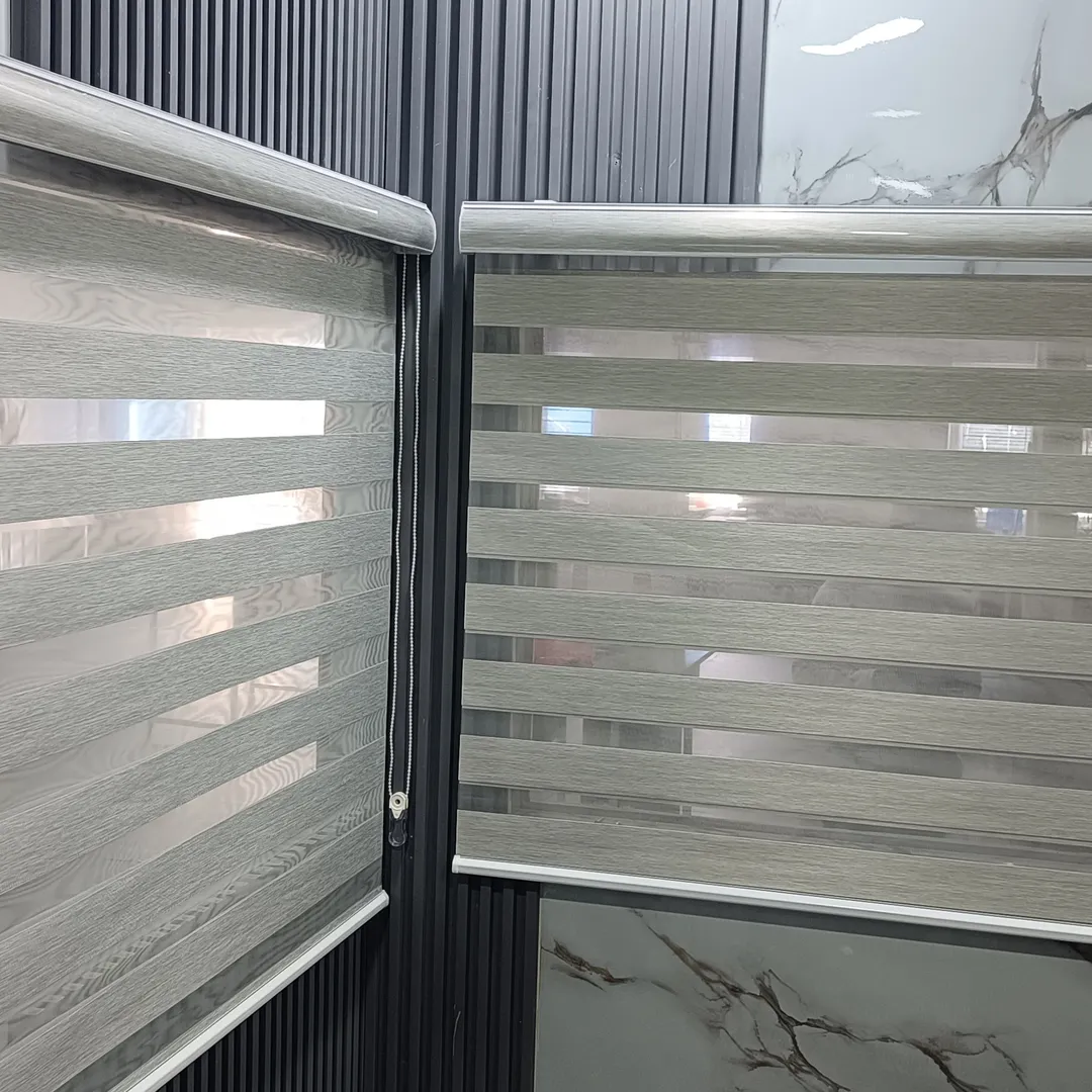 Zebra Blinds