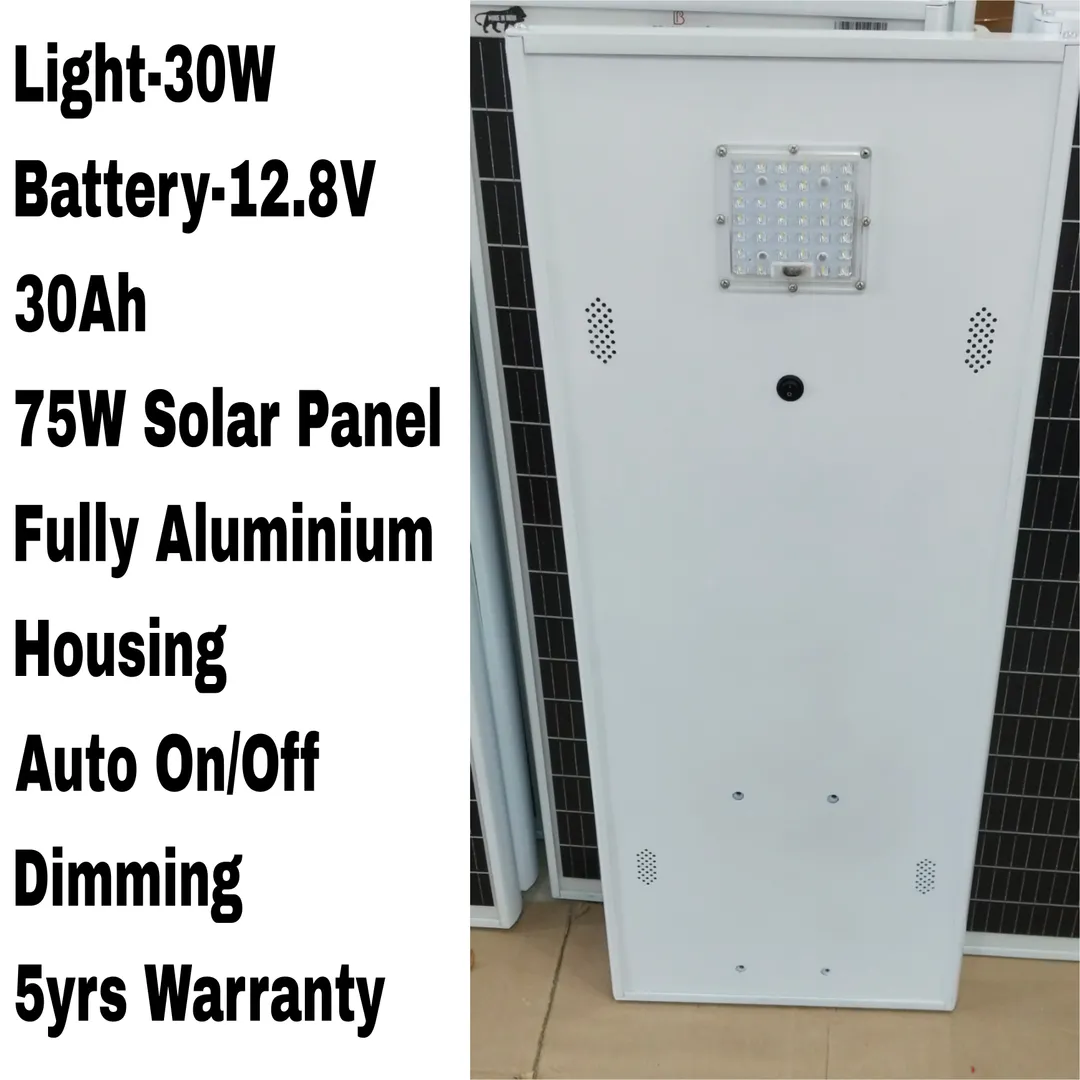 30W Solar Led Street Lights Manufacturer in Ghaziabad