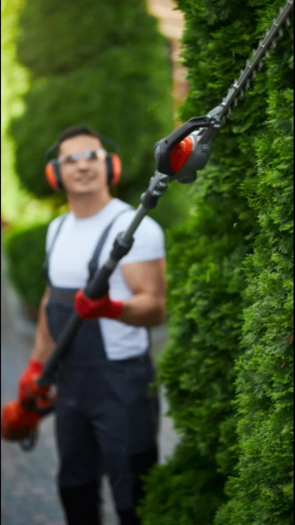 Brush Cutter in Bangalore for Hassle-Free Farm Maintenance