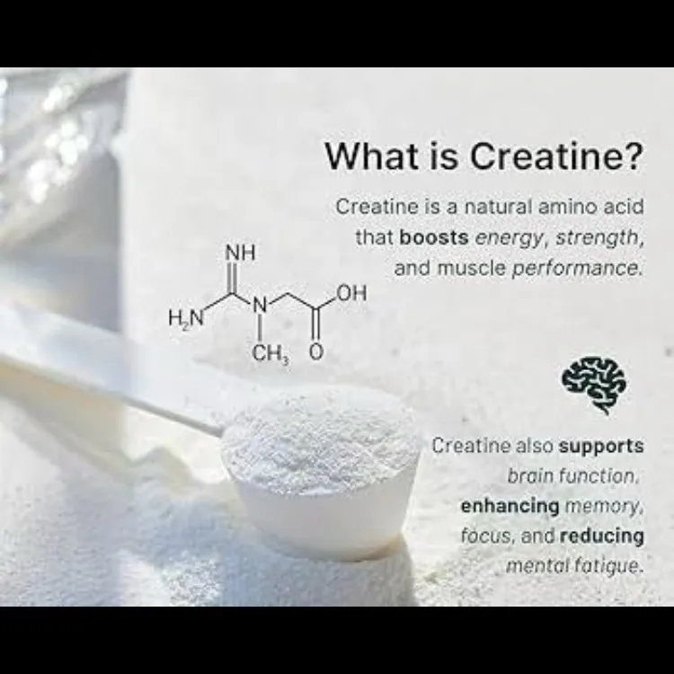 Creatine Monohydrate Supplier in Delhi for Reliable Sports Nutrition Manufacturing
